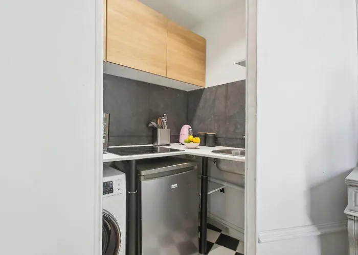 Le Marais 1br Cozy 公寓 巴黎